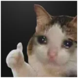따봉이