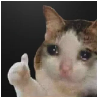 따봉이